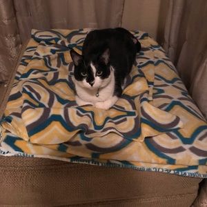 Meet your Posher, Pattie